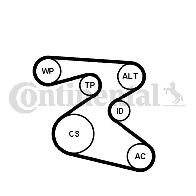 Water Pump + V-ribbed Belt Kit